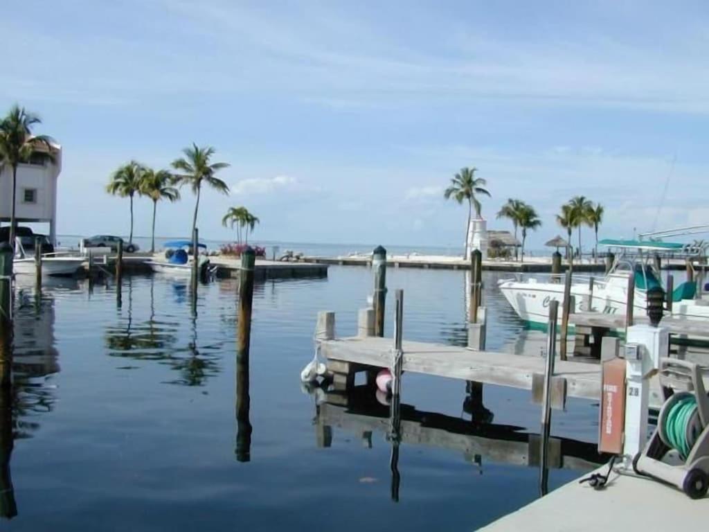 Islamorada Paradise Overlooking The Fabulous Florida Bay. Tavernier Kültér fotó